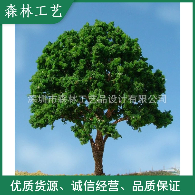 Студент Модель Учебник Модель поезда Дерево Песочный стол Модель дерева N175