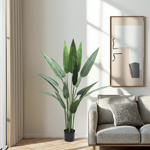 �S�����l���ͷ��������B���Է����@ˇ���ʹ��͏d���ҹ��@���^