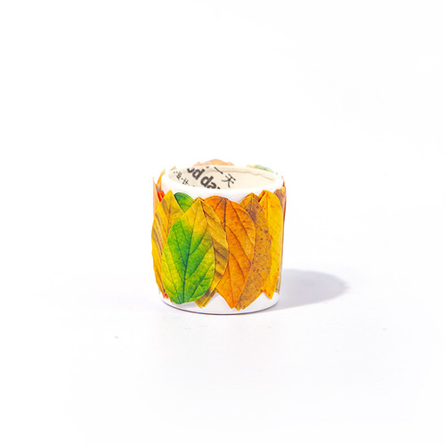 Good Day Tape Champs’ Fallen Leaves Series 8 Creative Plant Handbags DIY Decorative Stickers
