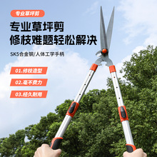 ���l��ƺ���h�ʼ���s��֦������@ˇ���߾G�h����֦�@����֦��