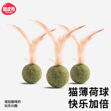 猫咪磨牙耐咬互动羽毛猫薄荷弹力球耐咬零食宠物猫咪足球篮球玩具