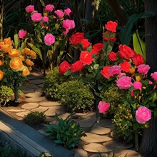 ̫��ܻ����������ͥԺ�쾰���÷Շ������@�̨�b��ز��ƺ��