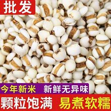 ޲������؛�F�ݴ�޲���׿ɴ���ඹ����s�Z�ּZ�Ϳ��x��հ�