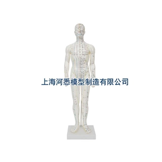 70cm男性人体经络腧穴针灸穴位模型