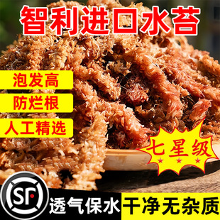 �����M��ˮ̦ëë�xˮ̦��̦�\�m���I�B���������߉|�ĺ����m