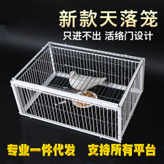 ハト用品のハトの活絡門がドアにぶつかります。
