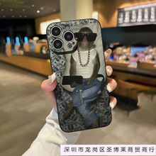 �R�D�nƱ�m���iPhone16�֙C���O��13/14��ͨ15promax����11�W��