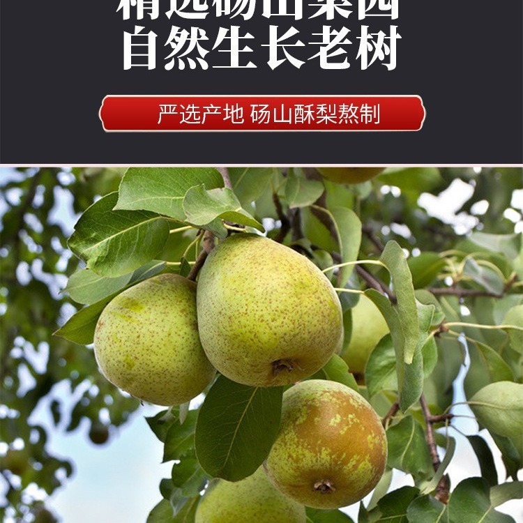 びわ秋梨ペースト 梨ペースト 南京銅仁堂福吉坊 びわペースト 300g 缶詰卸売|undefined