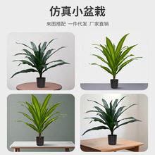 ����Gֲ����ľ�����F�٘������������b[���Ƶꙻ���쾰�b�