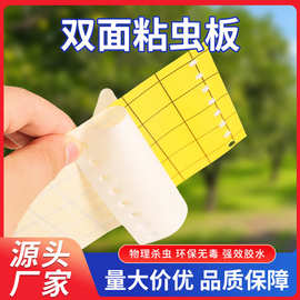 双面粘虫板黄板蓝板大棚温室果园专用强力物理防虫蓟马蚜虫白粉虱
