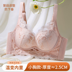 卸売りレースの温度変化の下着の女性の胸は集まって大きく収めて副乳を持ち上げて胸が垂れ下がることを防ぎます。