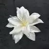 Silk 13CM lily flower head-new white