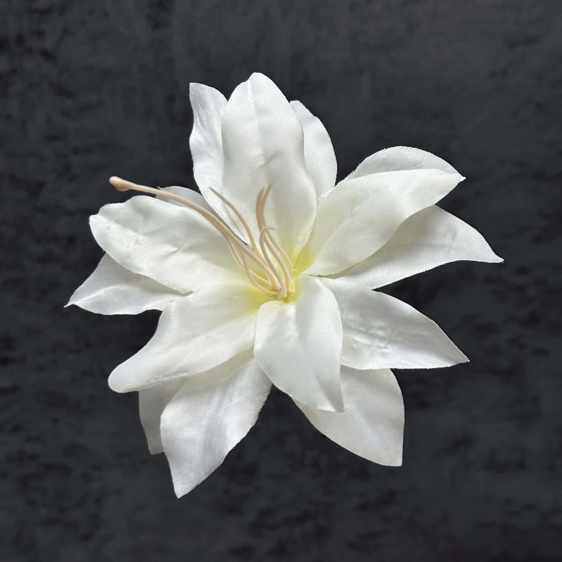 Cabeza de flor de lirio de seda de 13 cm, nuevo blanco