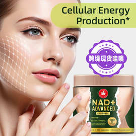 跨境tk白藜芦醇nda+胶囊槲皮素capsules烟酰胺腺嘌呤二核苷酸补剂