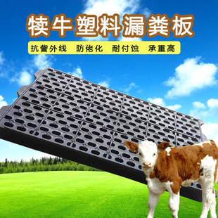 ���Ϡ�ţ©�S��S�ҹ�������ţ����ţ�p��Ӻ�ţ���Bֳ�O��