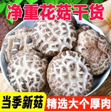 【净重新货】大个花菇干货肉厚剪根椴木干花菇香菇菌菇冬菇新货