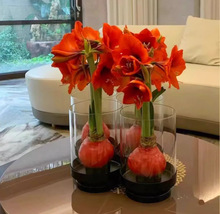 �M����피t�����ذ���피t�N���ɫ���B���҃ȷN���ļ��_����ֲ��