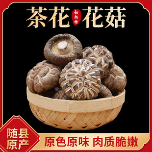 �軨���� �����㹽�ɶ������l�a��ֱ�l������؛���l ����������