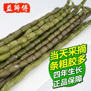 ��ϸ�ɽ����Ұ���FƤʯ���r�l���r���������²��r�l����