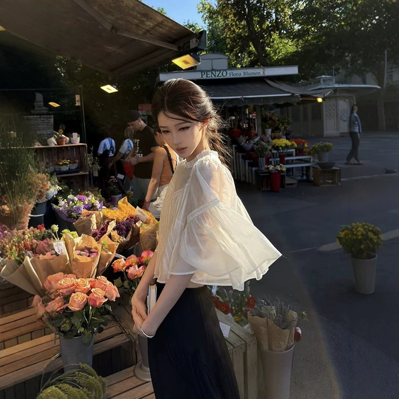 H & D Tencel Ruffled Stand Collar Lace Cape Blouse for Women, Spring and Autumn French Style, Glossy Finish, Bell Sleeve, Short Top