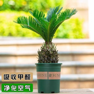 �F������С�K�F��͏d�k����������ȩ�Gֲ��ĸһ�������՚��ֲ��