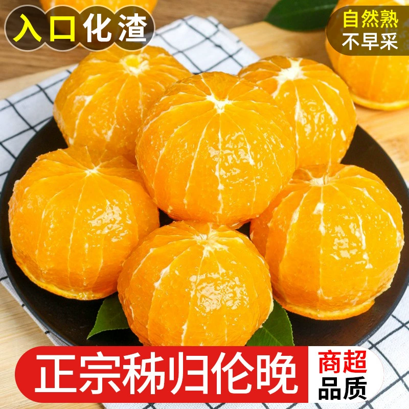 Апельсины из Хубэя, поздний весенний урожай, сорт Навел, для соков в кафе с молочным чаем, прямые поставки от производителя, свежесобранные и отправленные, отборные свежие апельсины, сочные фрукты.
