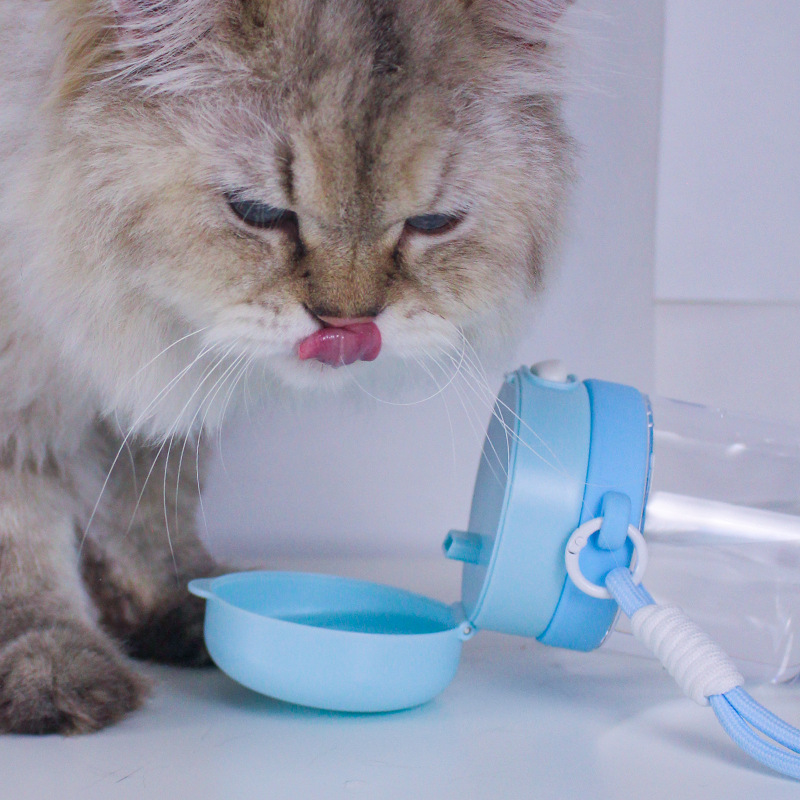 [Nuevo tipo] Taza de agua para perros y gatos, hervidor de agua al aire libre, taza portátil pequeña, taza de agua para mascotas