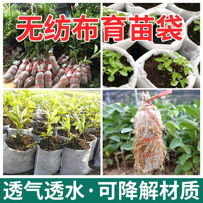 工厂直供大号无纺布种植袋一次性果苗农用花盆可降解幼苗移植袋