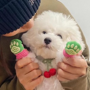 Cat and Dog Socks, Anti-Scratch, Anti-Dirty Paw Covers, Leg Covers, Puppy Teddy Cat Pet Dog Shoes