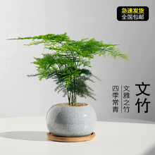 ��������ֲ���҃ȿ͏d��ʽ�U���辰�k���ґ��˺��B�Gֲ����[���o