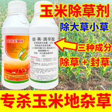 玉米苗后除草专用剂玉米地除草封草死草烂根剂玉米田除草玉米除草