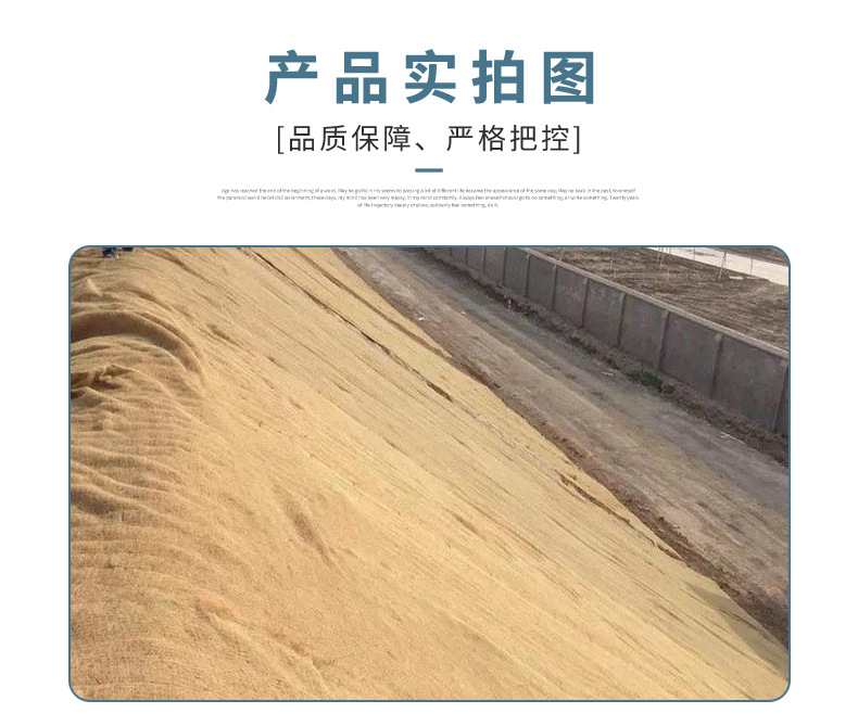 详_08.jpg