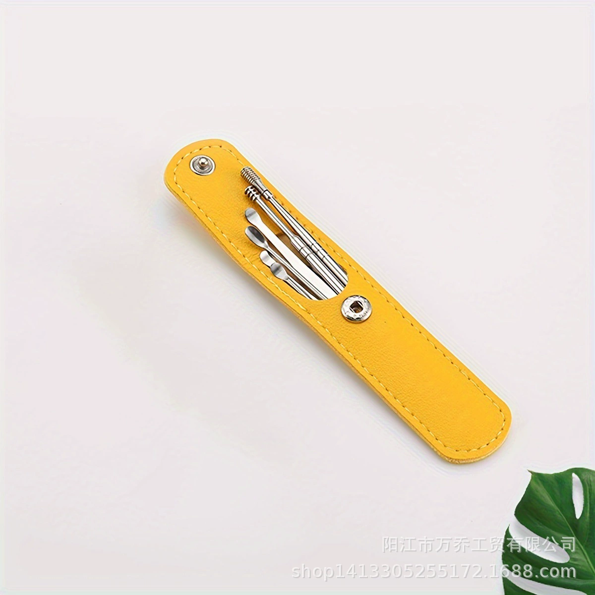 Ear picking, hygienic handheld tools set for ears, (Physicals), 6 pieces