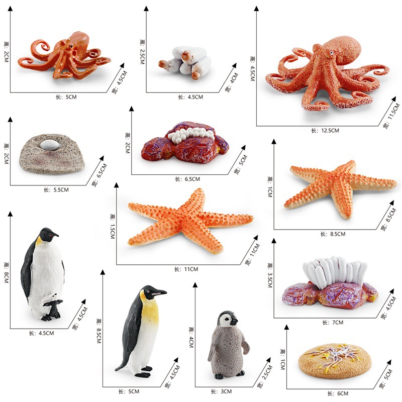 Simulación transfronteriza modelo de ciclo de crecimiento animal marino pulpo pingüino estrella de mar crecimiento transformación proceso decoración juguete