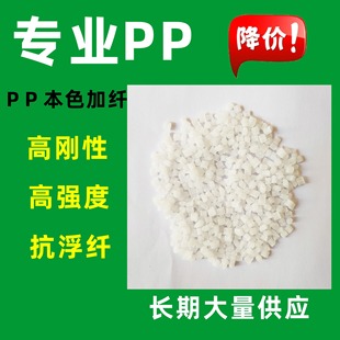 Factory Direct SuPPly Pp Natural Color Plus Fiber 15% Enhanced White Pp Particles Pp Modified Polypropylene Natural Color Return Material Cutting Particles