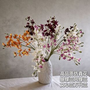 �����m���滨�P���m�f���m�����m��ˇ�ҾӔ[����c�ٻ����յ���