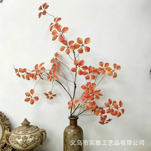 ����ʽ�����^��ɏ�߶��p���L֦�ٗl�٘�֦�~�Ӽ�ֲ��͏d�b[��