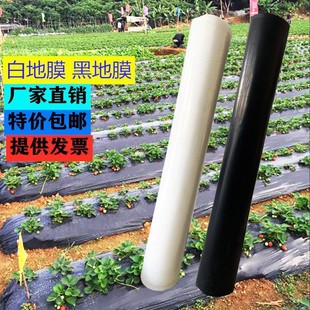 Plastic Film Agricultural Insulation Vegetable Film Dust-proof White Film Vegetable Film Greenhouse Plastic Film Moisturizing White Film