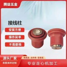 �v������S��ֱ�N�tɫ�㽶�����Ӿ���59-1�S�~