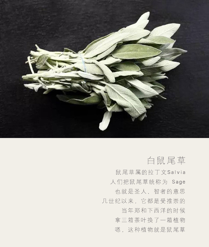 澳洲白鲍鱼贝壳大海螺创意家居摆件烧鼠尾草容器观赏鱼缸盆栽装饰 图 13