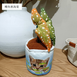 С����ë�q���������ż���Д[���b�ܛ�b�ٻ�