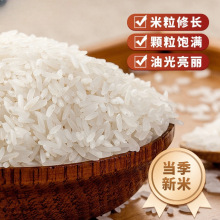 ɽׯ��25������˿����50��һ����������ײ���ר�����㹤������