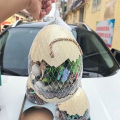 6347恐龙世界三角龙霸王龙仿真动物模型恐龙蛋男孩玩具机构玩具批
