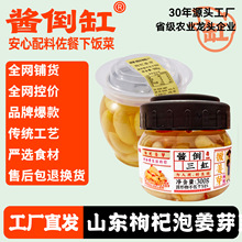 酱倒三缸枸杞泡姜芽新鲜嫩泡姜腌制下饭下酒仔姜酸甜厂家直供开胃