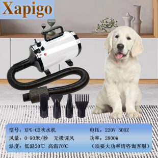 Hair Dryer Foreign Trade Pet Bathing Quick-Drying Household Drying Large Dog High-Power Hair Dryer