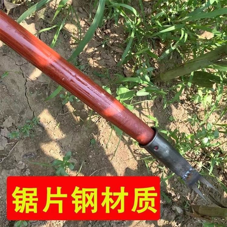 c961e105-e4ce-4803-b800-a1c58c