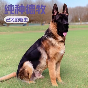 ���Ƽ��N������Ȯ����Ȯ���̻��w���������o�lȮ����Ȯ�ǹ�����