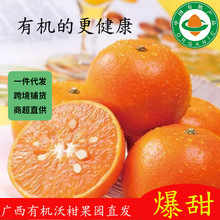 �V���ָ����r�������ӽ������r�ЙC�ָ̿羳�����̳�ֱ�����l����