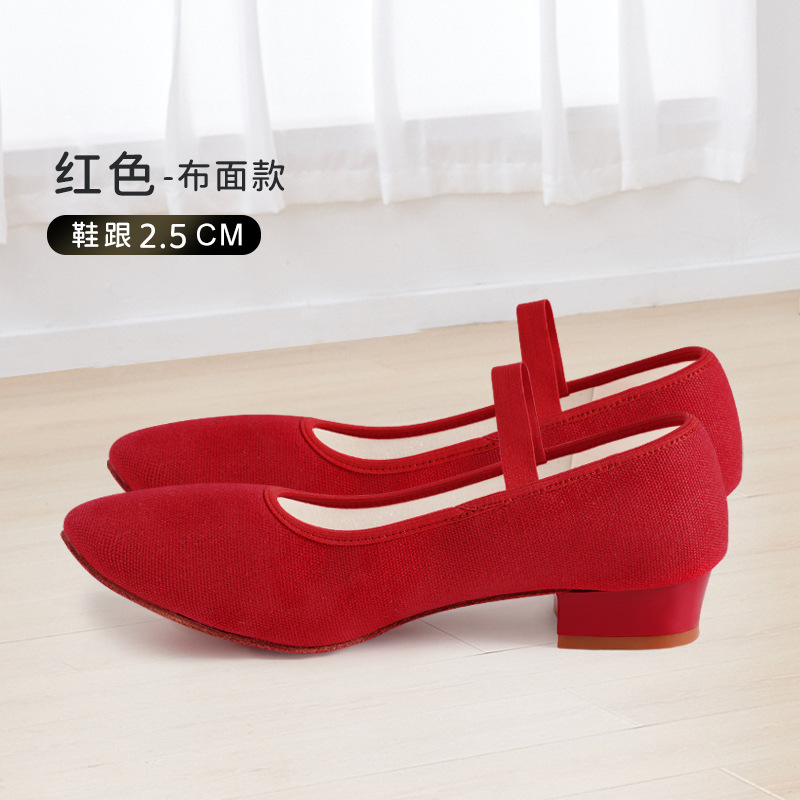 Zapatos de baile femenino adulto inferior suave con talón negro lienzo maestro representante niños Ballet clasificación personalidad zapatos de baile