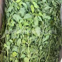 �~��U����ޣ�ݺ�����ӼZ�ɲ�������؈����ʳ�ò݌���Z��ޣ��